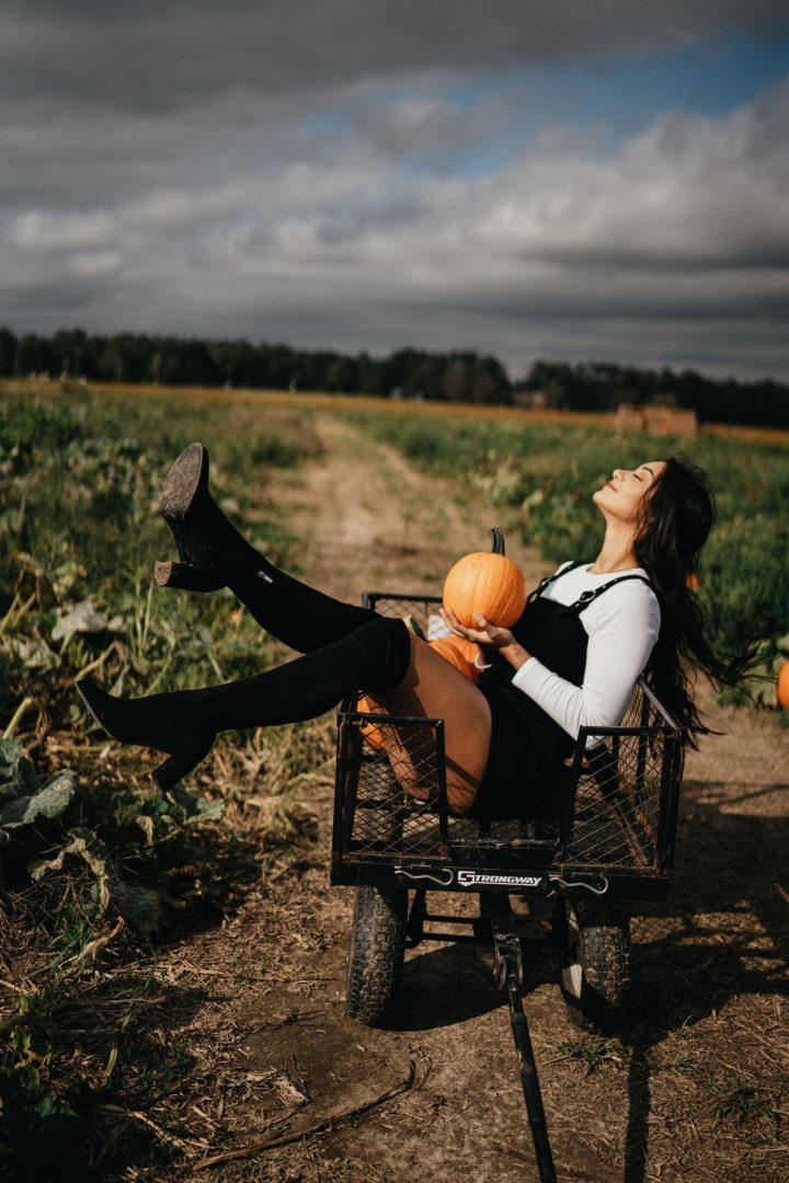 Kat's Pumpkin Patch Portrait Photoshoot Cullipher Farms cat